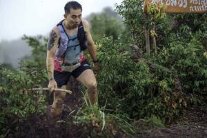 BIB: 254
                            <button type="button" onclick="openModal(24740449)" class="btn btn-primary btn-sm float-right btn-popup" data-toggle="modal" data-target=".modal-high-quality">
                        <i class="fas fa-shopping-cart"></i> Add to Cart
                    </button>
                                            <button type="button" onclick="isThisMe(24740449, true)" class="btn btn-success btn-sm float-right btn-popup btn-isme hidden" data-toggle="tooltip" data-placement="bottom" title="นี่คือรูปของคุณใช่ไหม คลิกที่นี่เพื่อเอาเข้าอัลบั้ม">
                        <i class="fas fa-plus"></i> Add to album
                    </button>
                    <button type="button" onclick="isThisMe(24740449, false)" class="btn btn-warning btn-sm float-right btn-popup btn-isnotme hidden">
                        <i class="fas fa-ban"></i> Remove from album
                    </button>